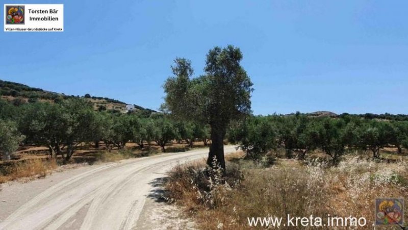 Kamilari Kreta Kamilari, Baugrundstück 2.000m² mit 2 Baugenehmigungen ! zu verkaufen Grundstück kaufen